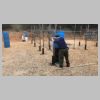 COPS May 2021 Level 1 USPSA Practical Match_Stage 2_From Roy With Luv_w Rowan Brandes_1.jpg